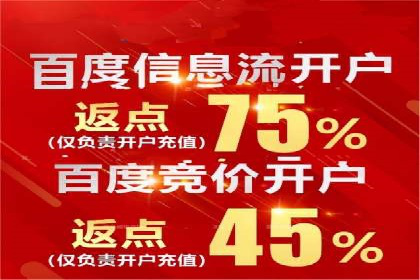 百度竞价广告创意设计：成功案例解析及启示